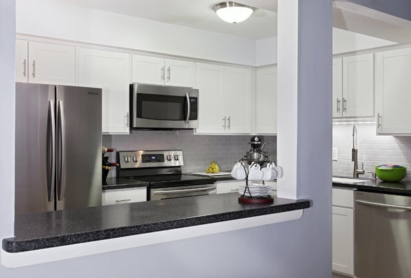 popular frosty white kitchen cabinets
