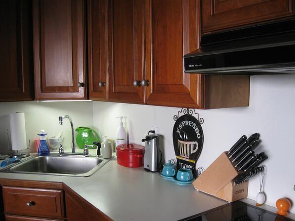 light rails in cherry kitchen