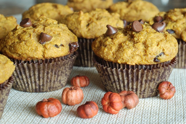 pumpkin-chocolate-chip-muffins