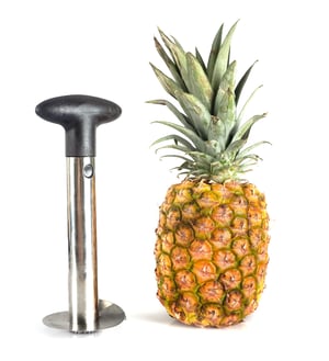 Envato- 10 kitchen must haves blog-5_ 04.28.25