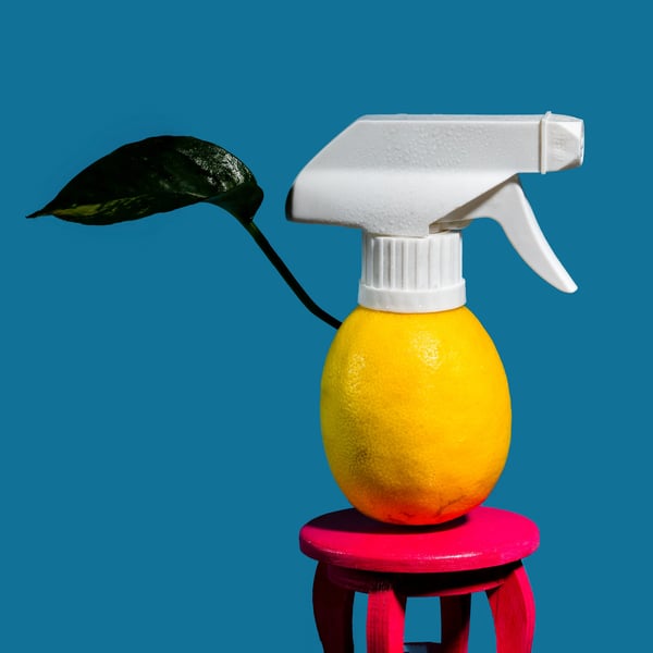Envato- blog image- lemon cleaning- 06.05.25
