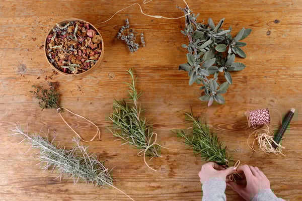 Envato- what is an herb drawer-blog image  05.06.25