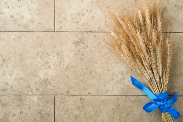 Envato-tile floor 04.22.25