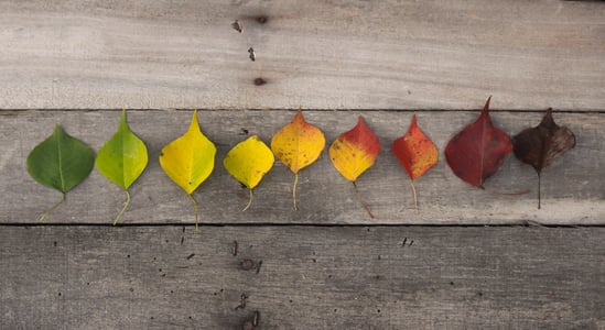 season colors for kitchen