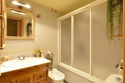 Shutterstock_Clear vs. Frosted Glass Shower Doors_Blog_April 19