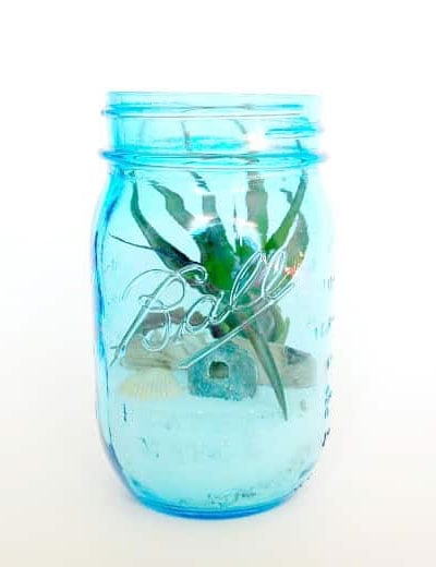 Mason Jar Terrarium