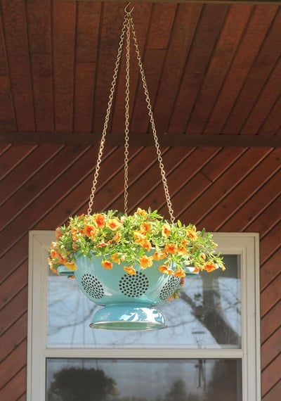 DIY Colander Hanging Planter
