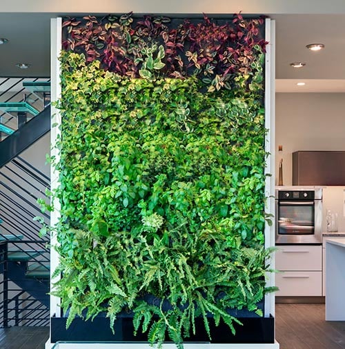 living wall in the kitchen