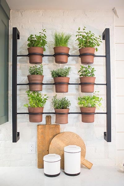 terracotta kitchen planters