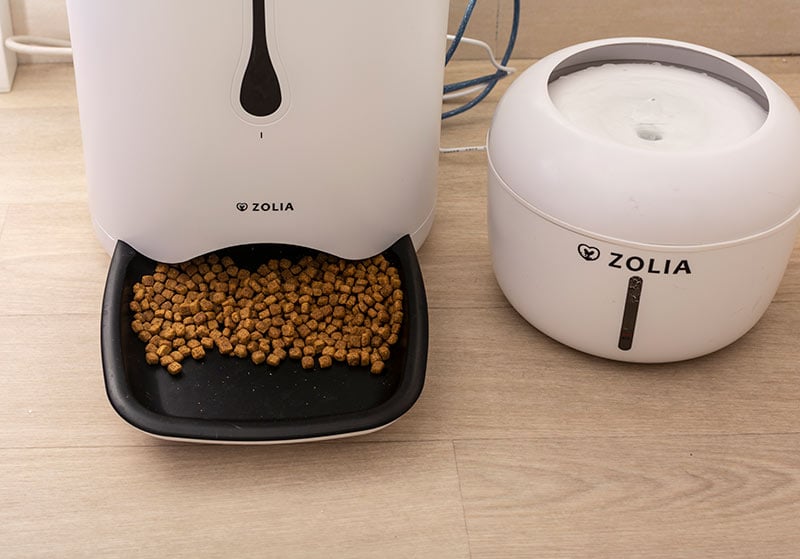 automatic-dog-feeder