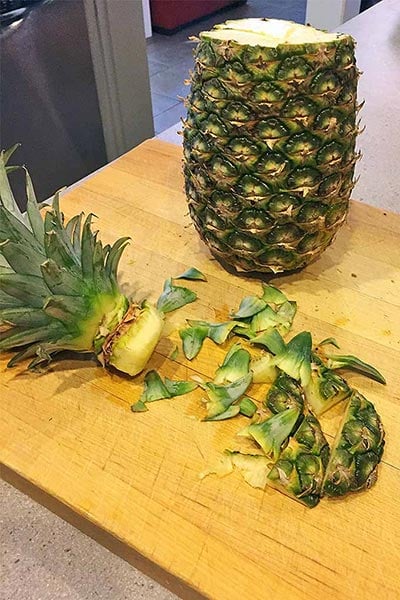 Grow Pineapple in Your Kitchen
