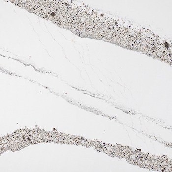Annicca Cambria Quartz